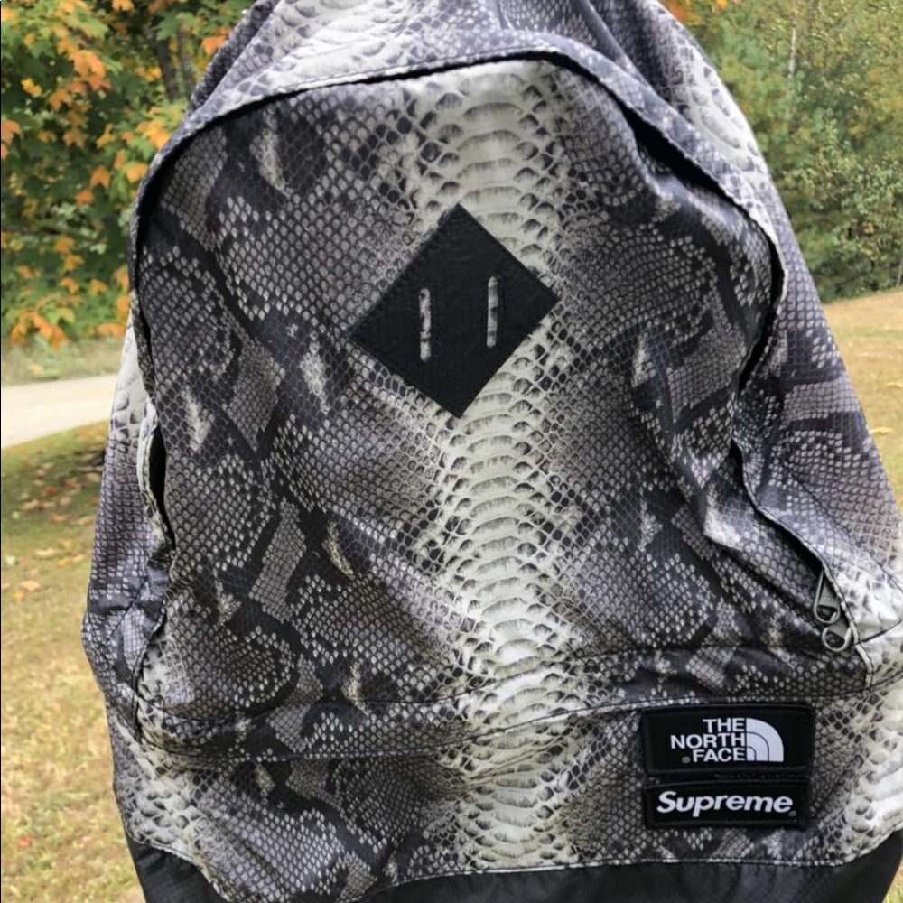 Supreme x Northface snake skin backpack